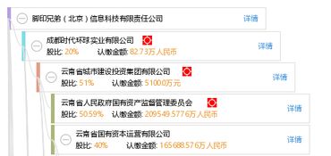 兄弟科技与信息服务 脚印兄弟的发展路